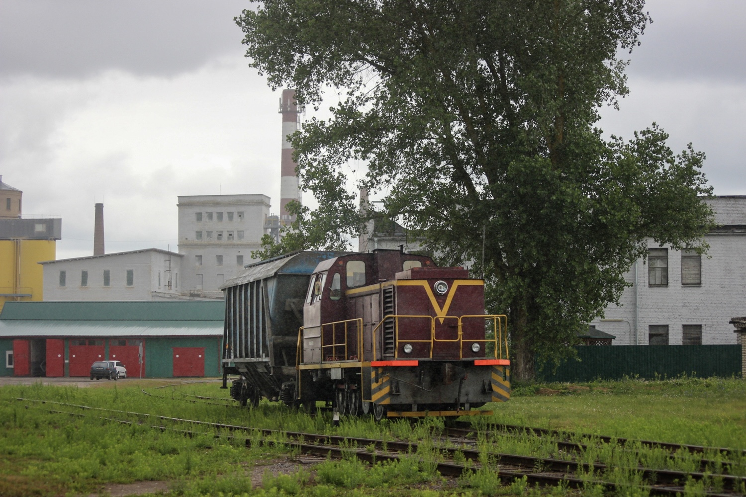 ТГМ23Д44-519