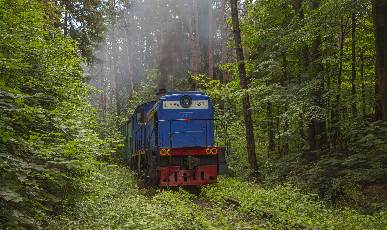 ТГМ4А-1687