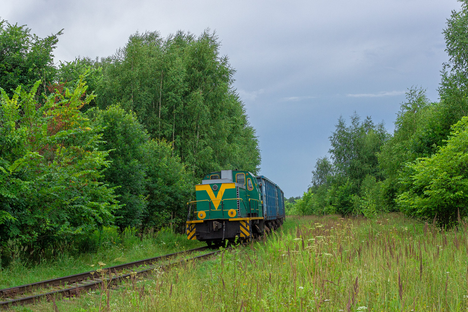 ТГМ23Д44-217