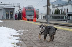 Railway Life