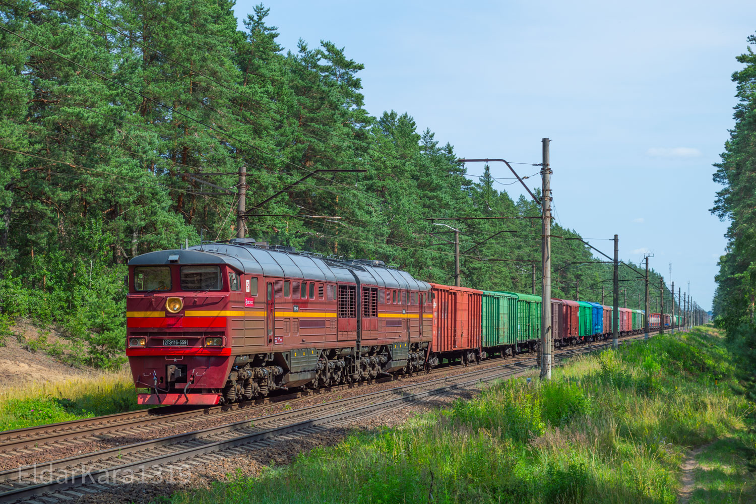 2ТЭ116-559