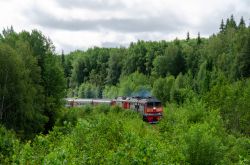 2ТЭ116-1121Б (Свердловская железная дорога); ЭП2К-283 (Западно-Сибирская железная дорога); 2ТЭ116-550Б (Свердловская железная дорога)
