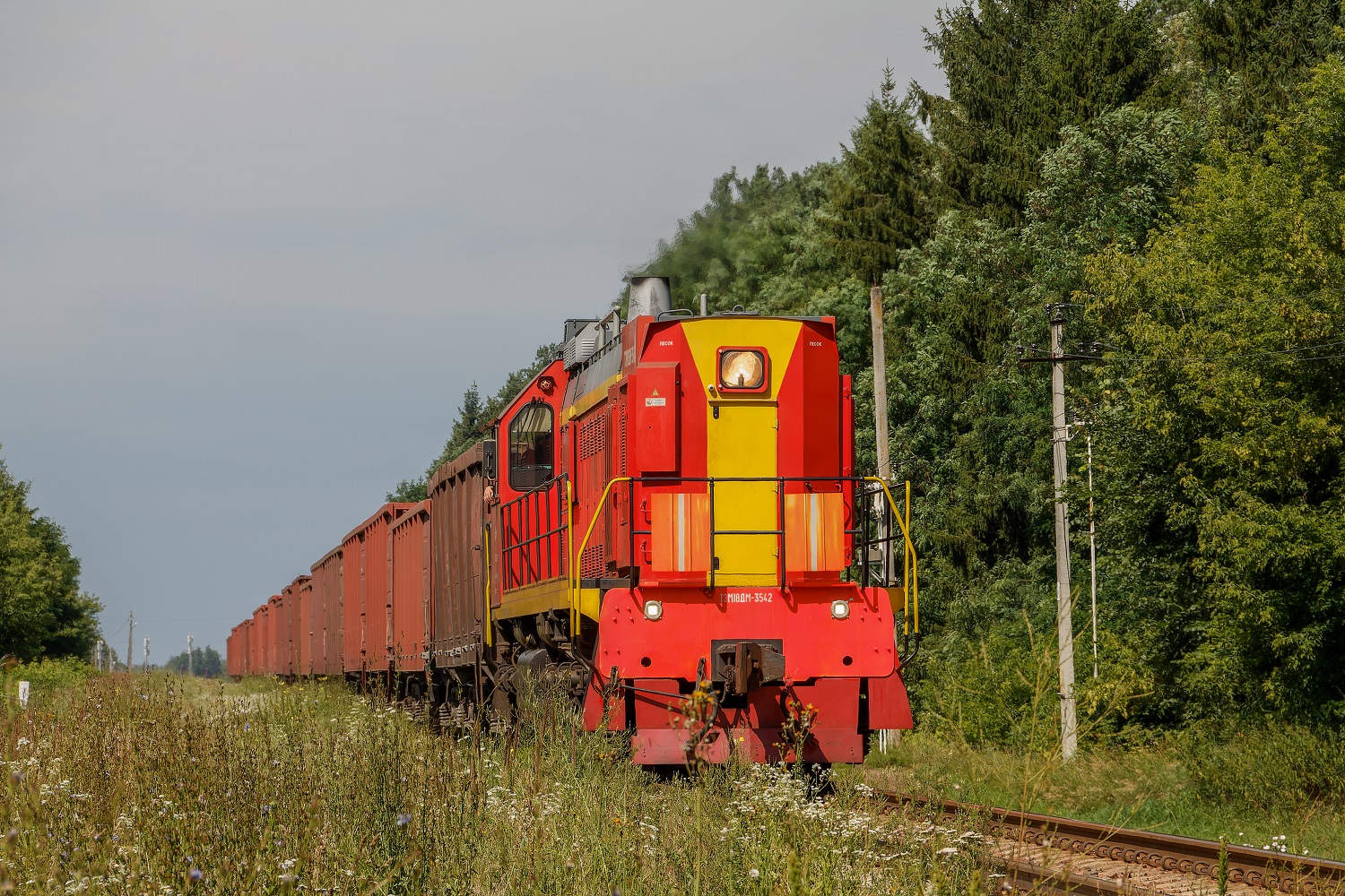ТЭМ18ДМ-3542