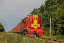 ТЭМ18ДМ-3542 (Белорусская железная дорога)