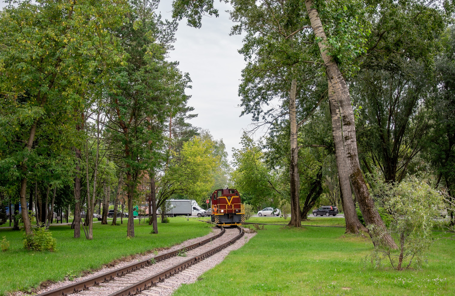 ТГМ23Д48-163