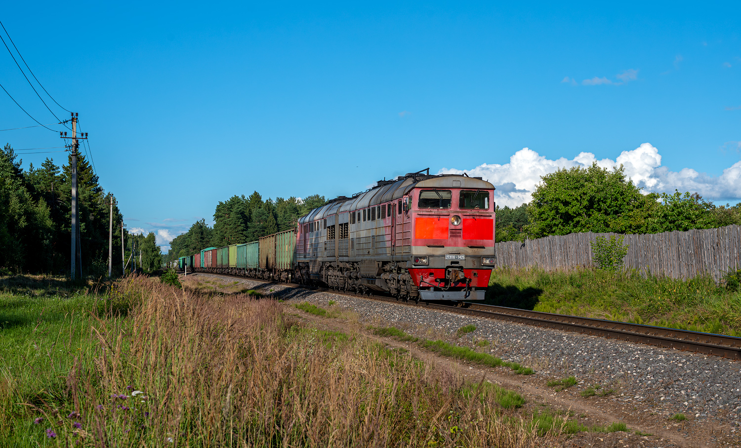 2ТЭ116-1425