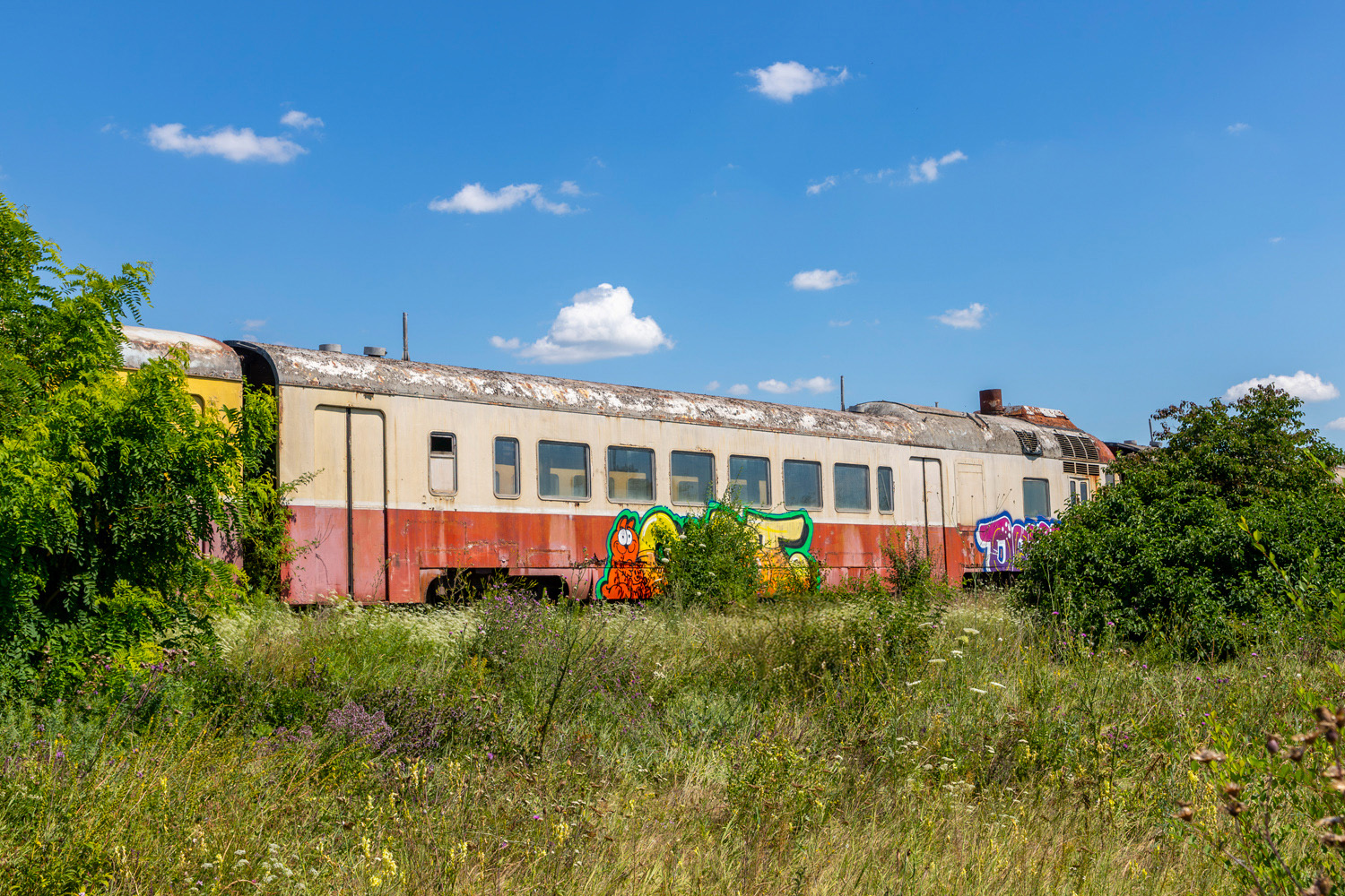 Д1-773