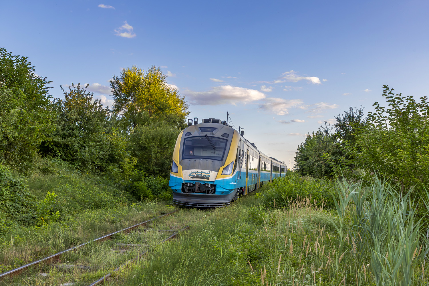 D1M-002