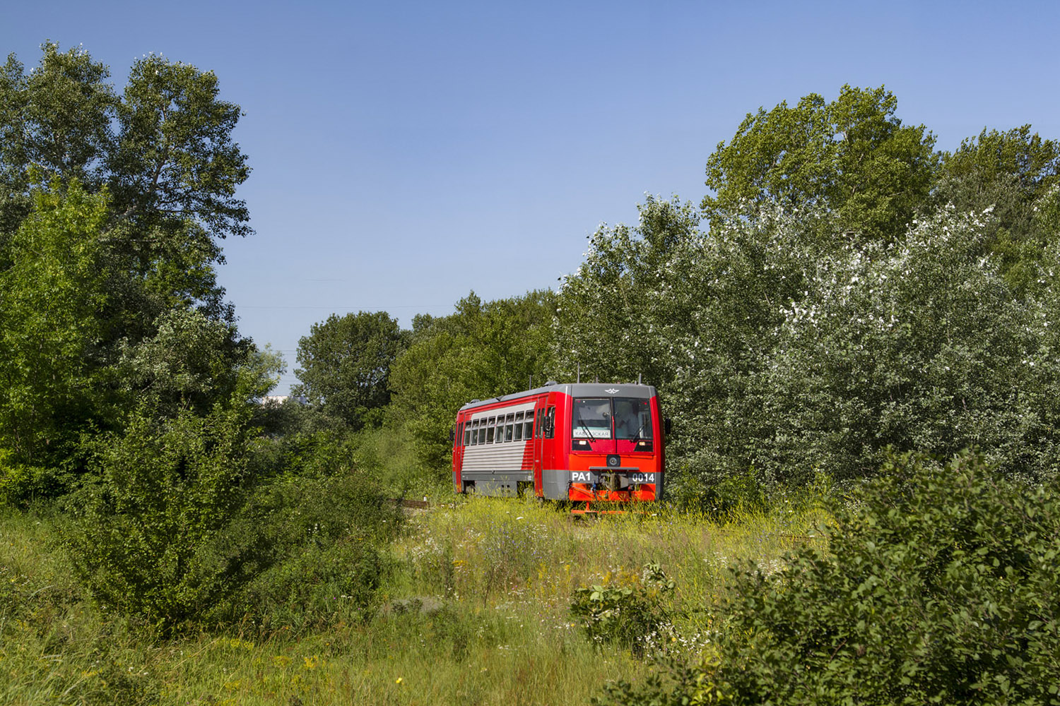 РА1-0014