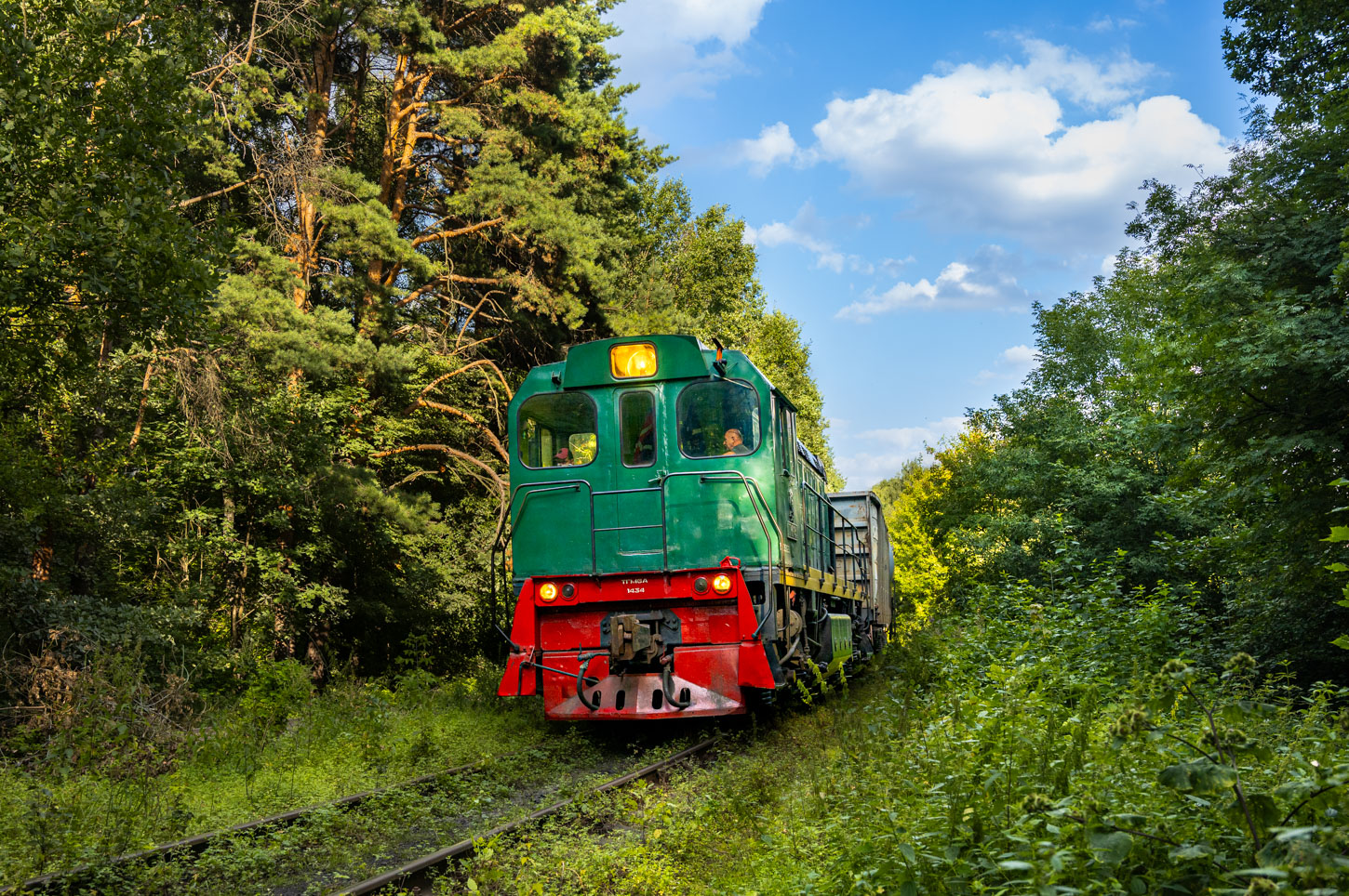 ТГМ6А-1434