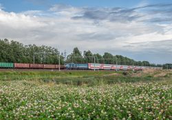 ЧС6-028 (Октябрьская железная дорога)