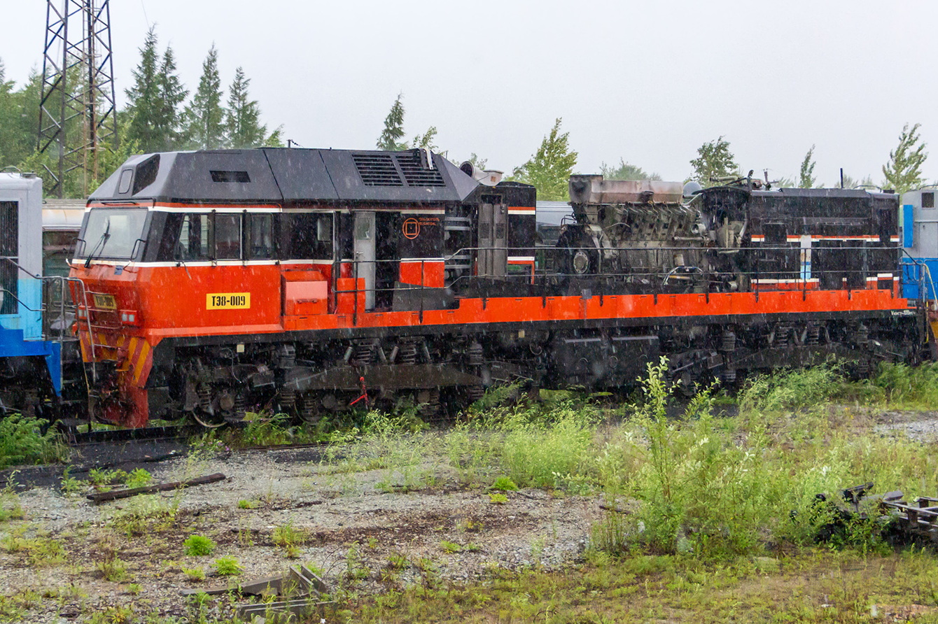ТЭ8-009
