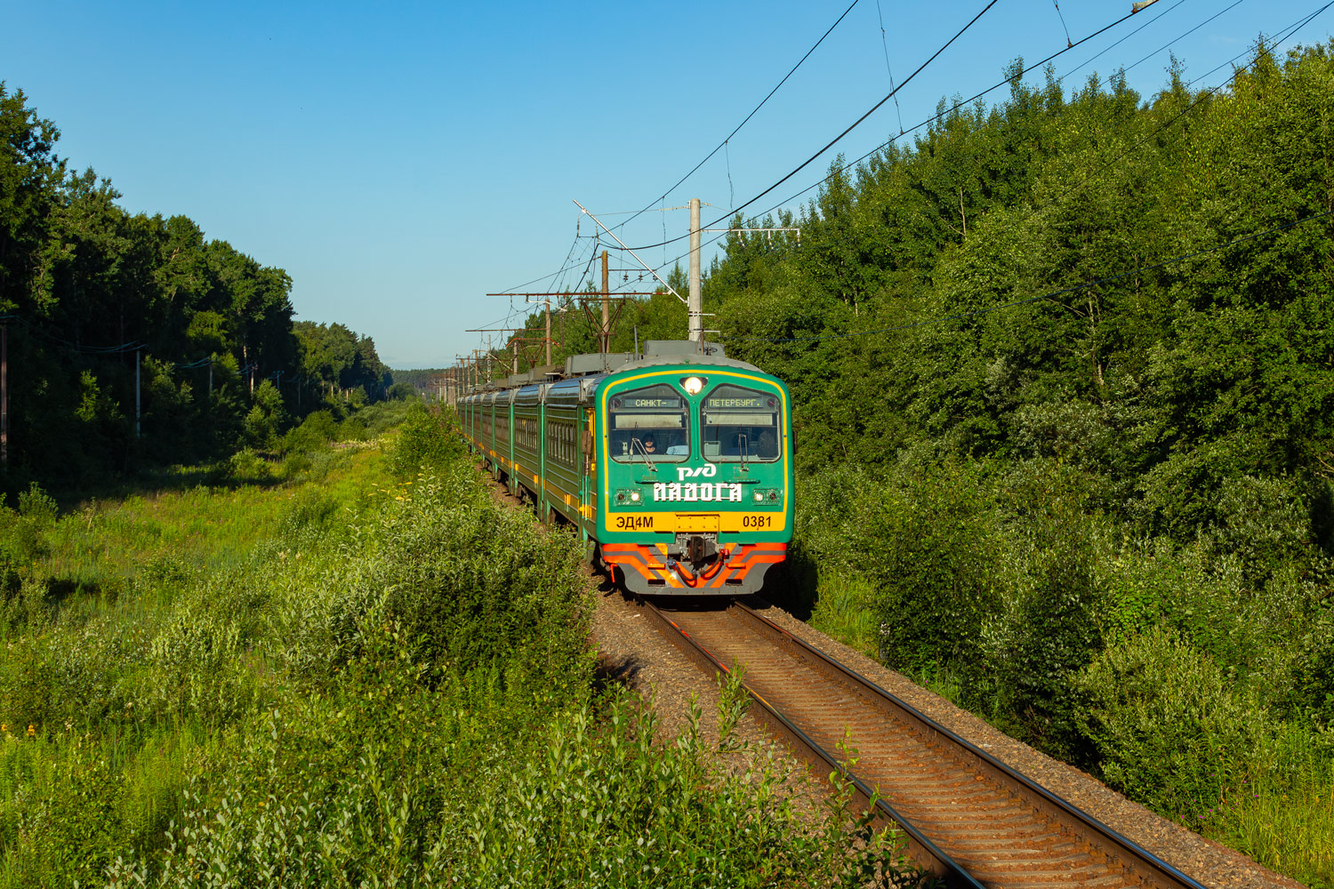 ЭД4М-0381