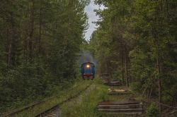 ТГМ4-2118 (Октябрьская железная дорога)