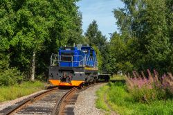 ТЭМ23-0003 (Октябрьская железная дорога)