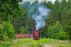 ТГМ23Д44-519 (Belarusian Railway)
