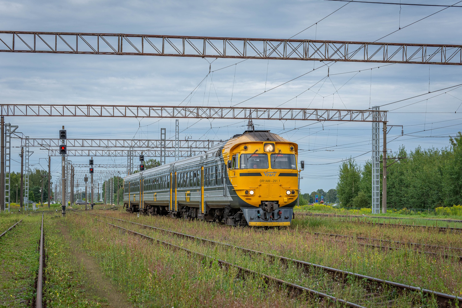 DR1AM-2911