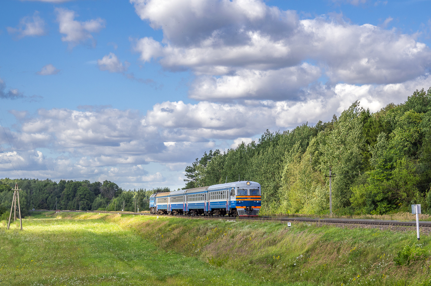ДДБ1-004; 006