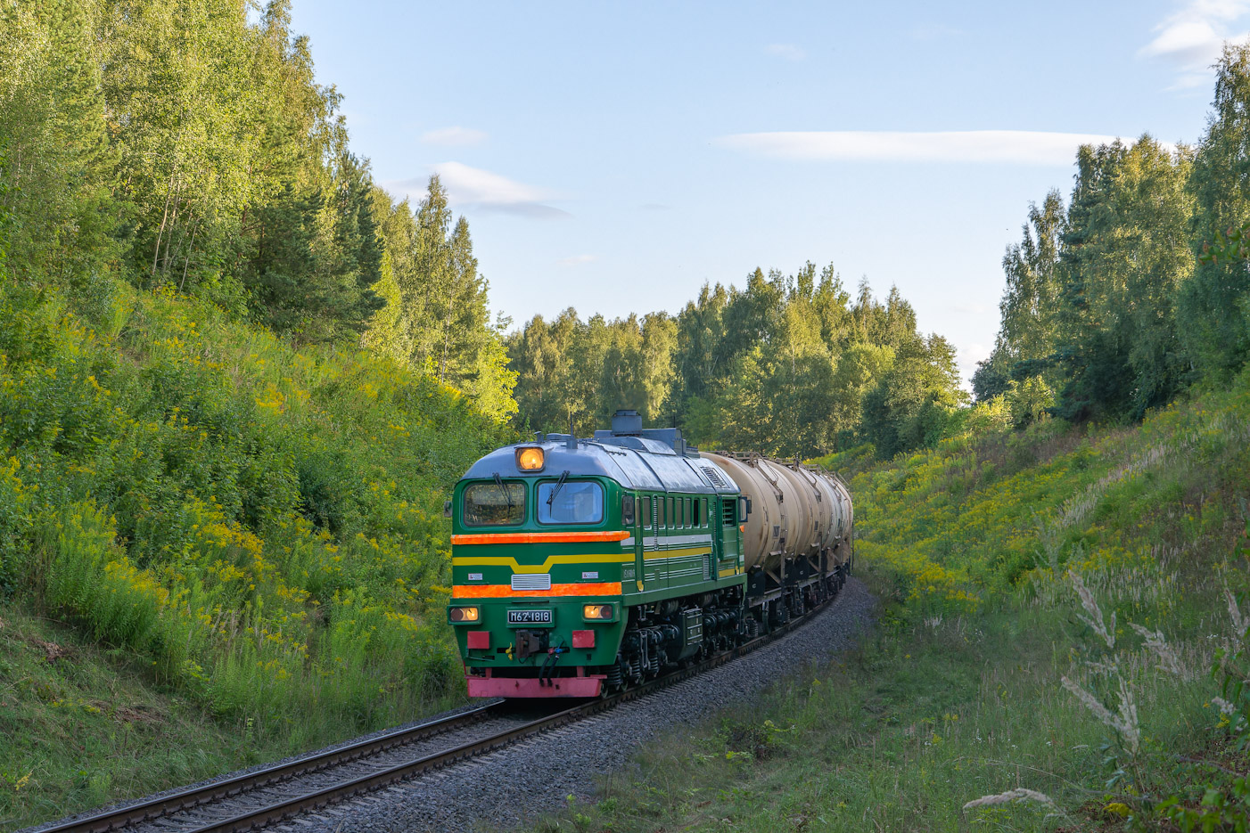 ДМ62-1818
