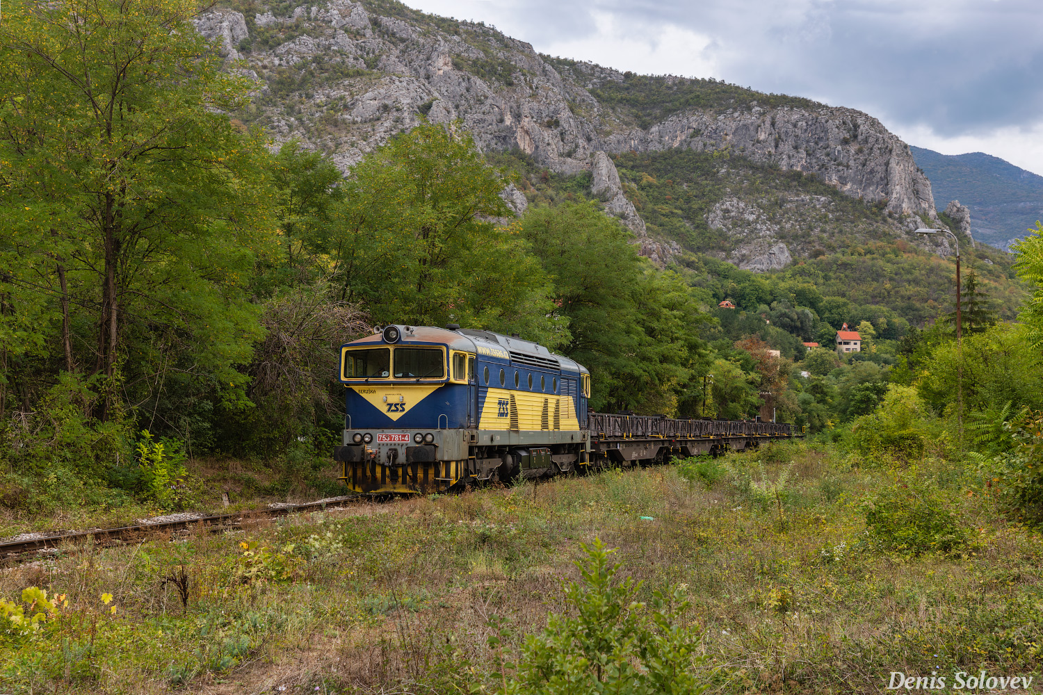 753 781-4