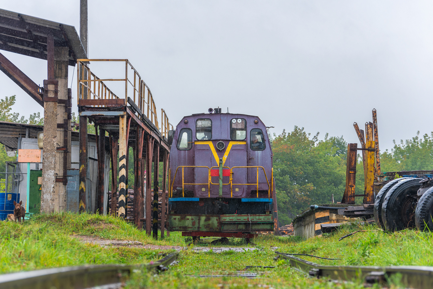 ТГМ23Д44-317