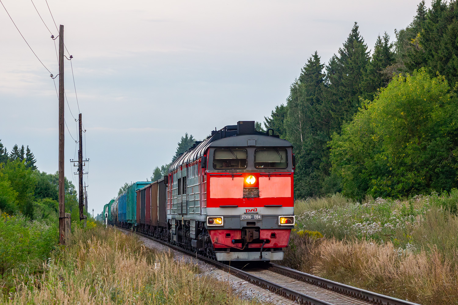 2ТЭ116-1394