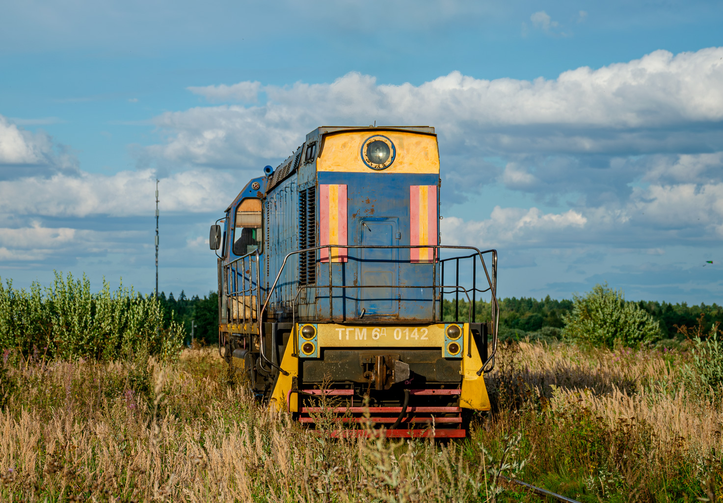 ТГМ6Д-0142