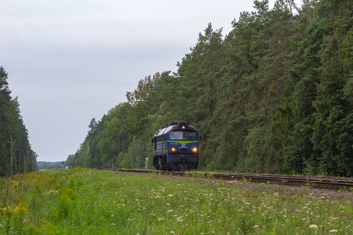 ST44-1260