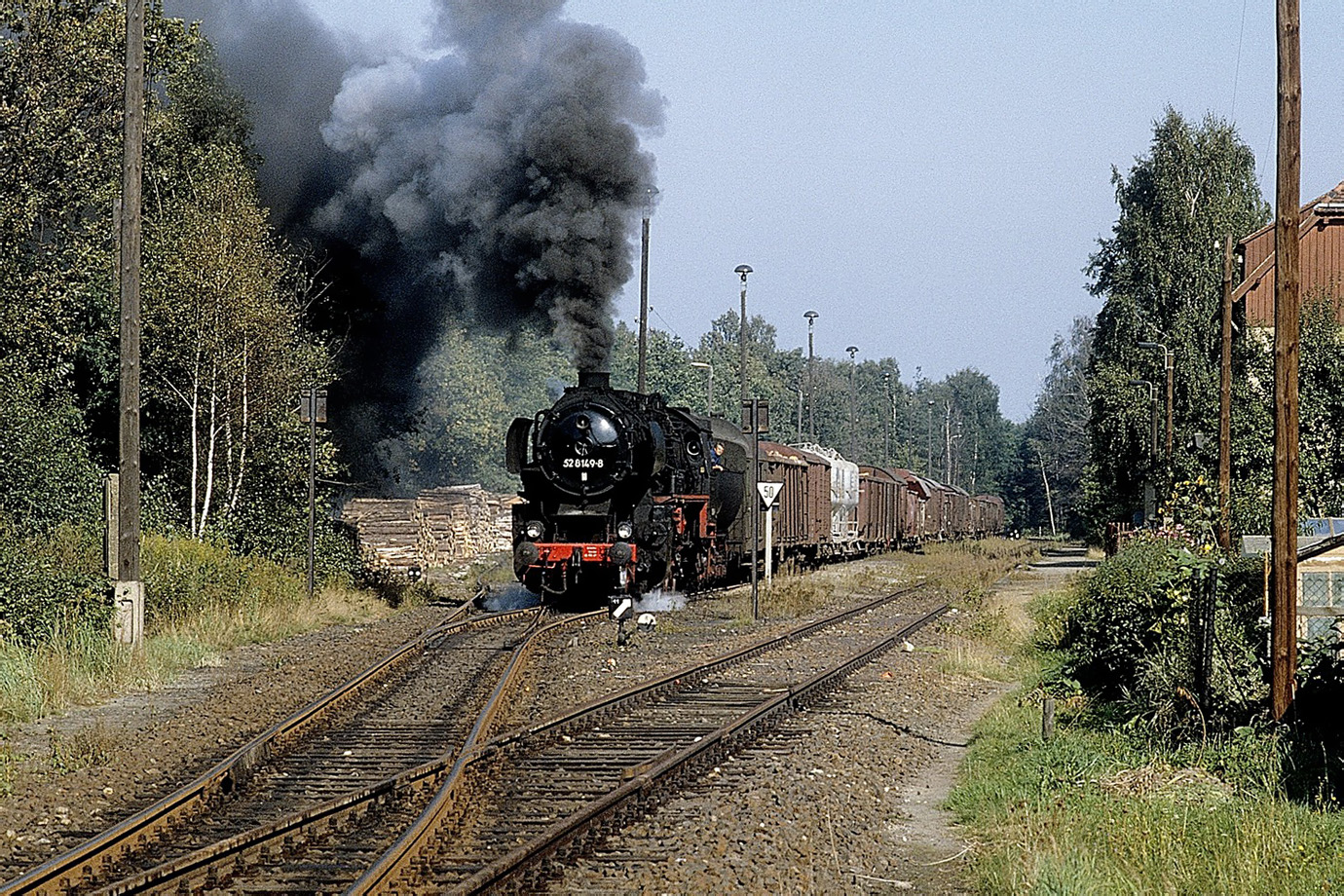 52 8149-8
