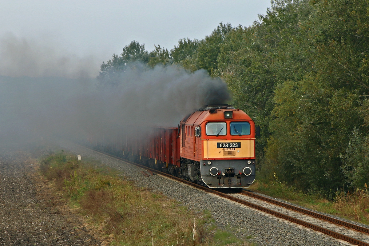 628 223
