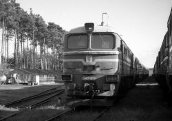 591 КБ