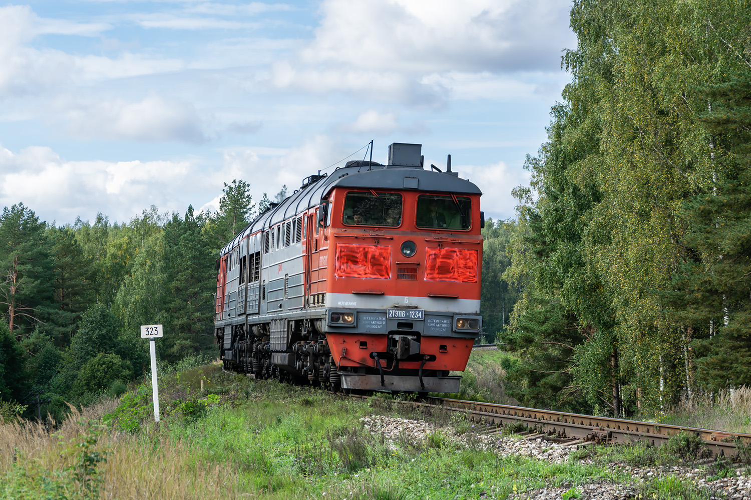 2ТЭ116-1234