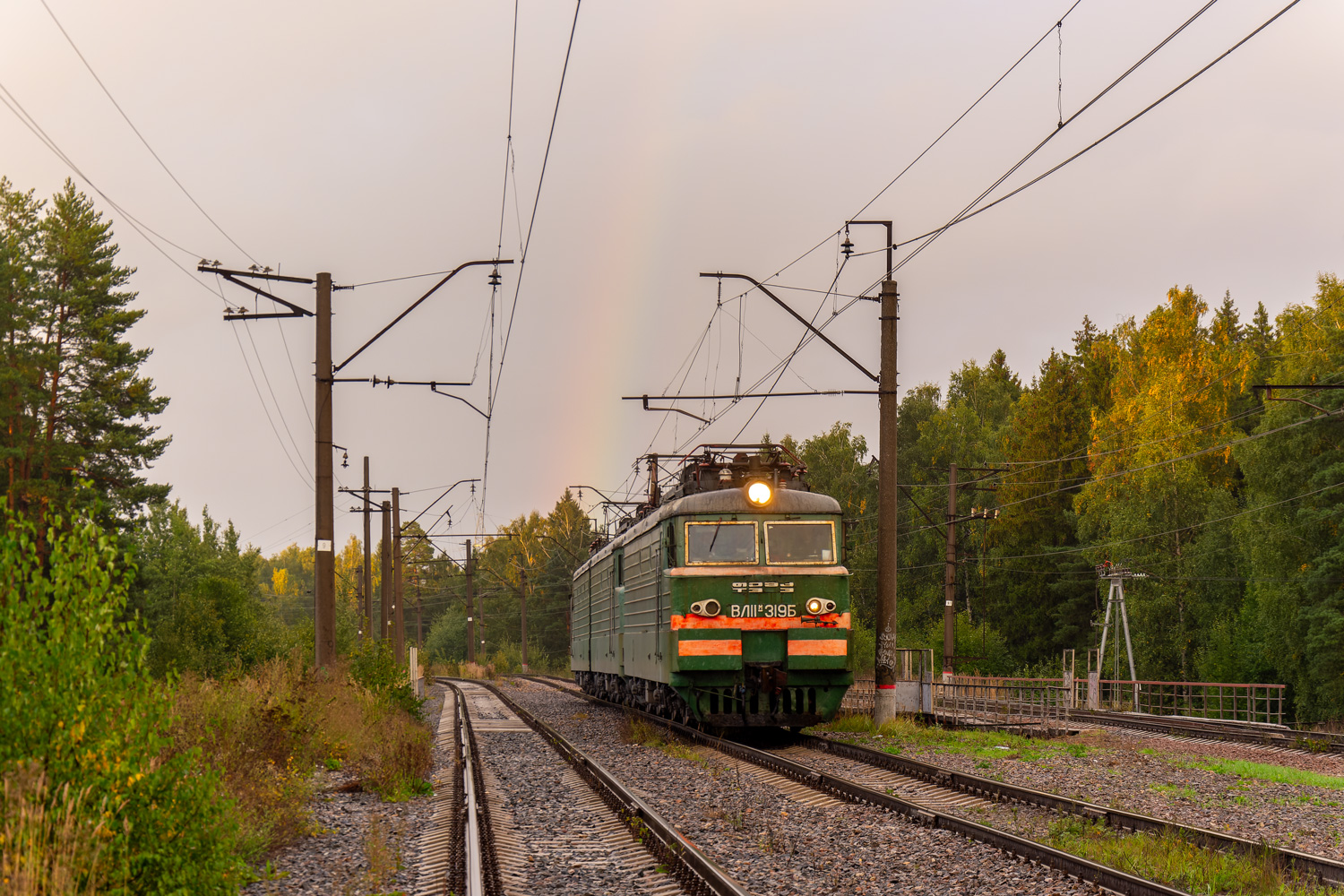 ВЛ11М-319