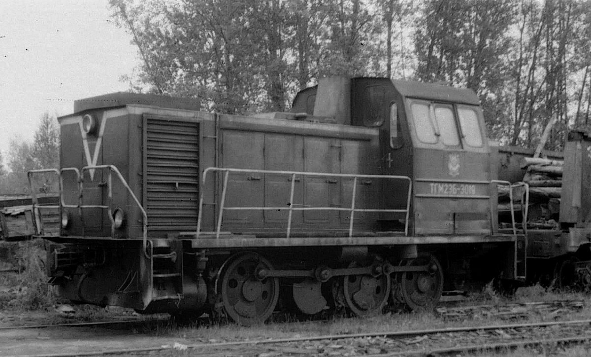 ТГМ23Б-3019
