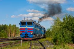 ТЭМ7А-0202 (Восточно-Сибирская железная дорога); 2ТЭ116-879 (Московская железная дорога)