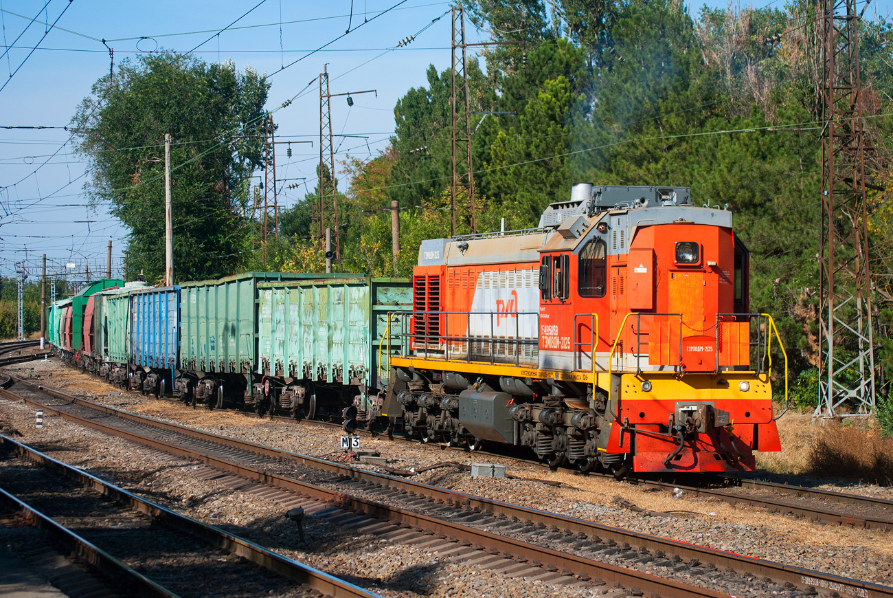 ТЭМ18ДМ-2125