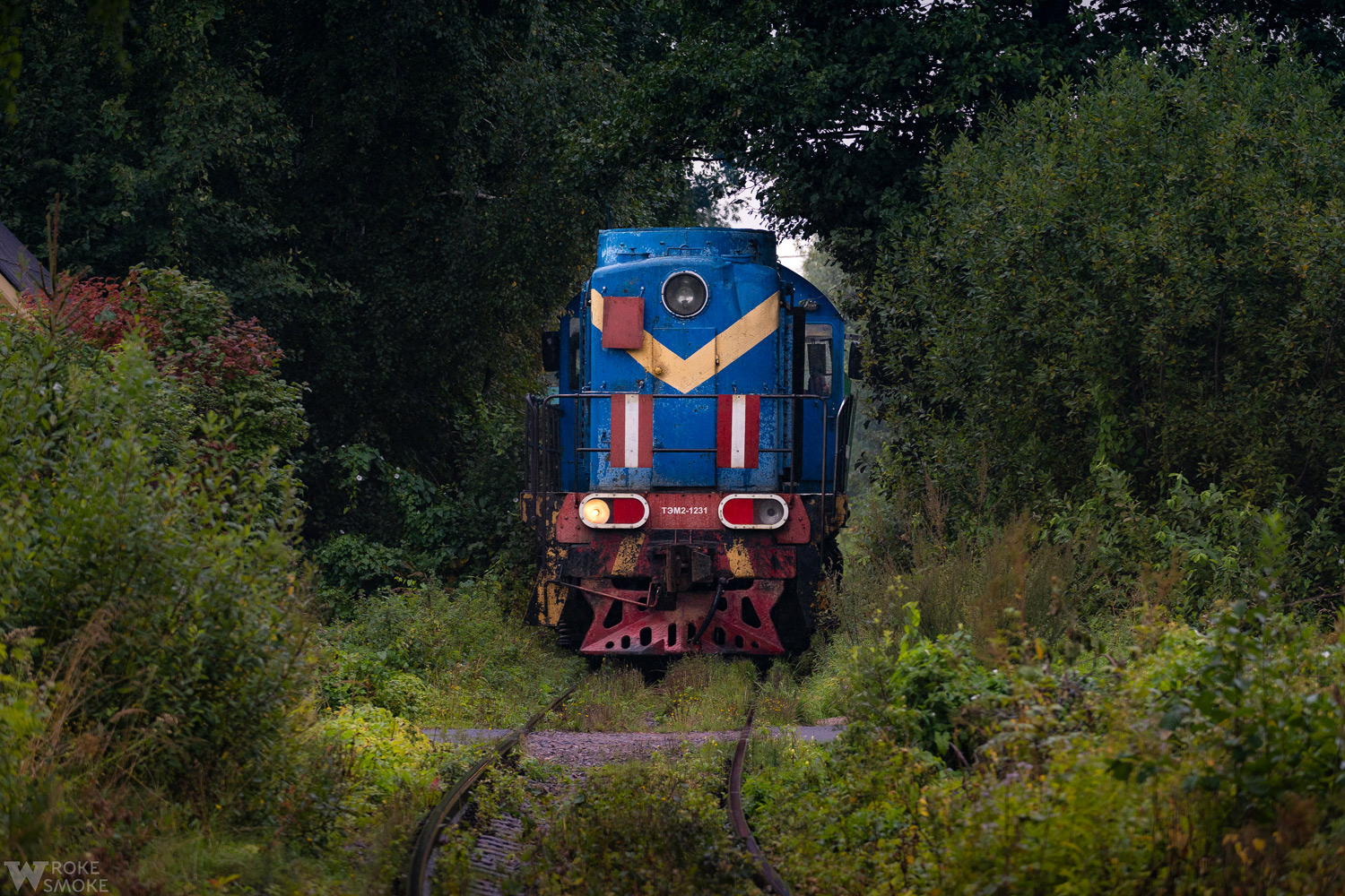 ТЭМ2-1231