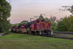 ТГМ23Д44-393 (Белорусская железная дорога)