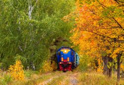 ТЭМ2-5834 (Sverdlovsk Railway)