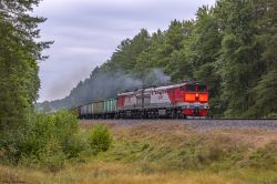 793 КБ