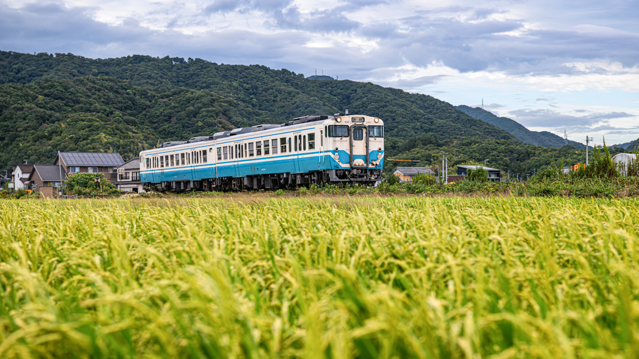 KiHa 47-171