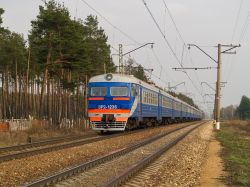677 КБ