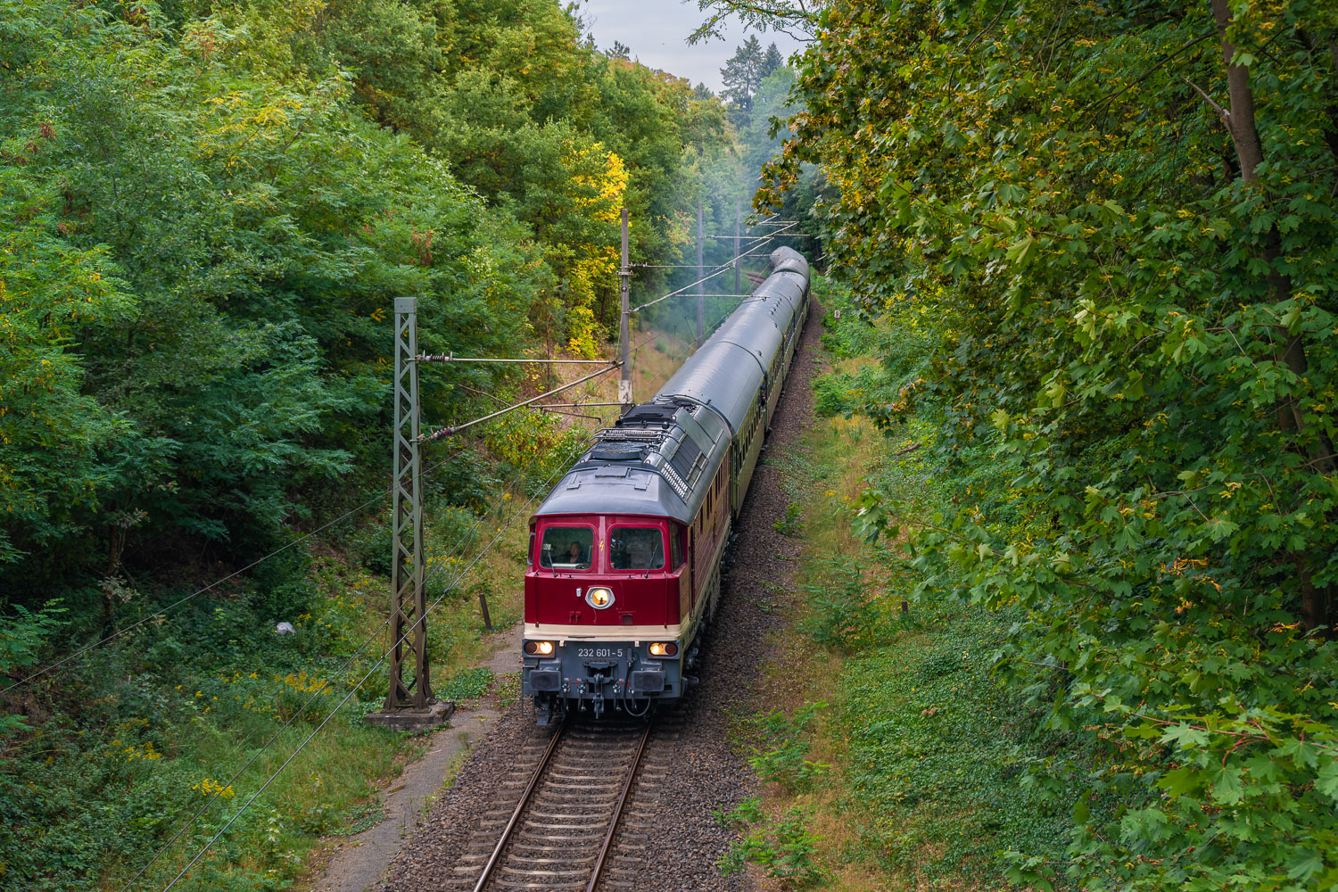 232 601-5