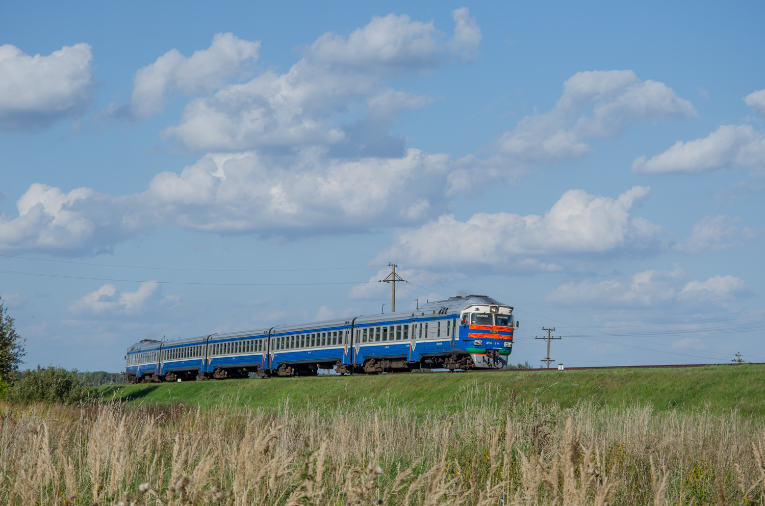 ДР1А-214
