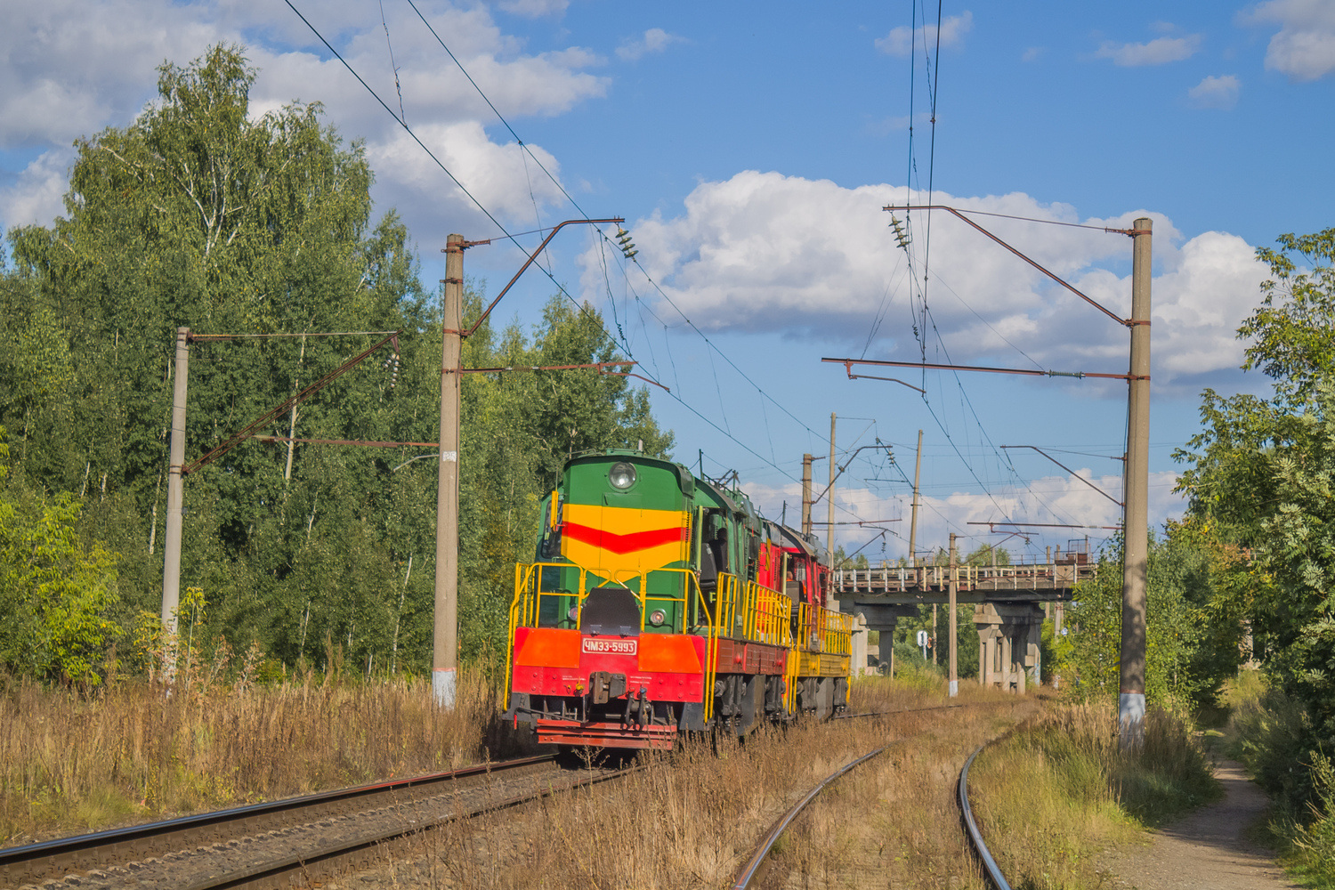 ЧМЭ3-5993