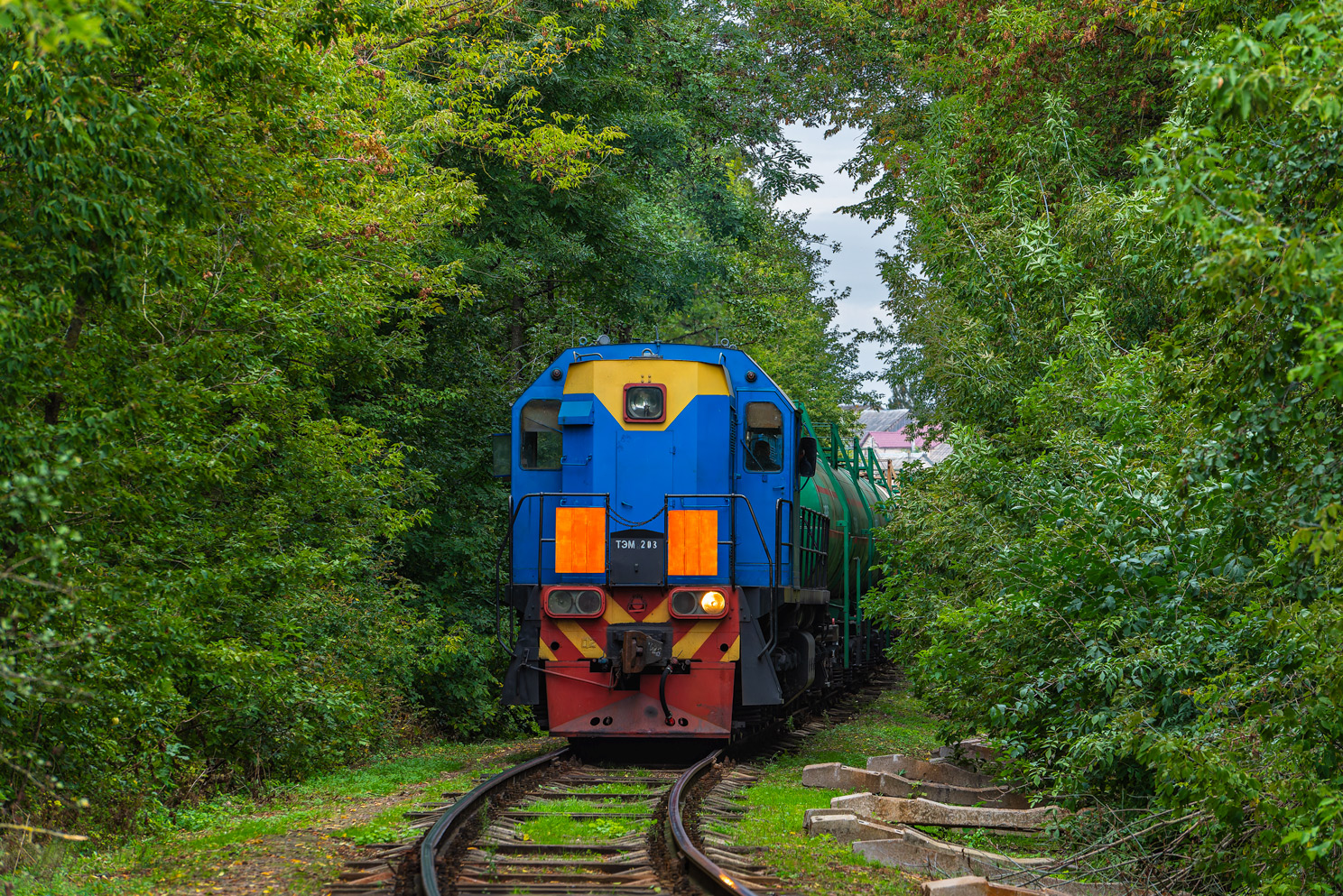 ТЭМ18-203
