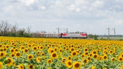 994 КБ