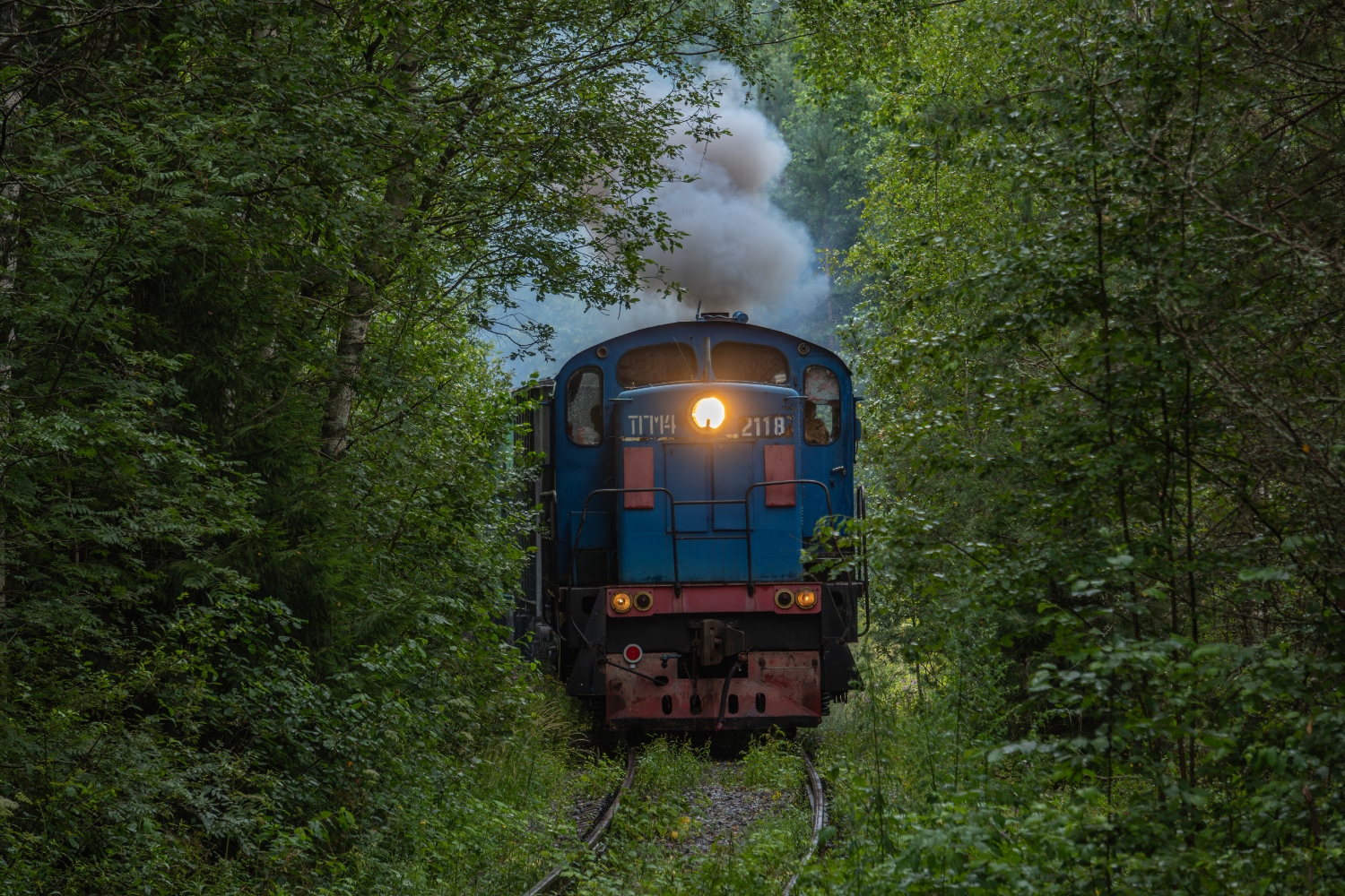 ТГМ4-2118