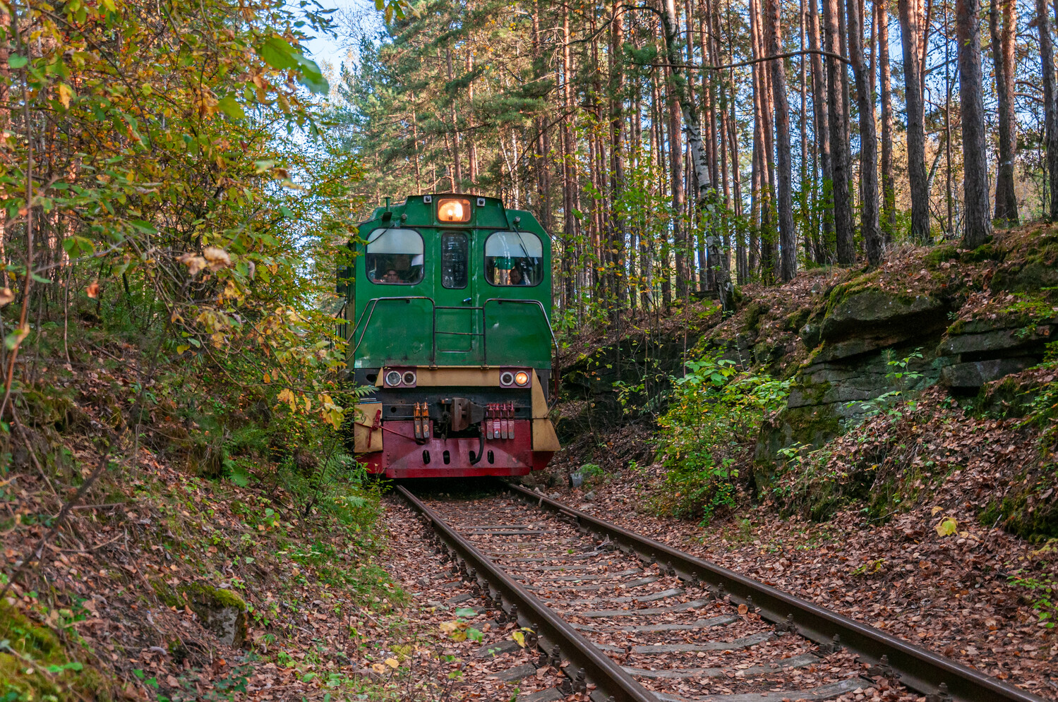 ТГМ6А-1365