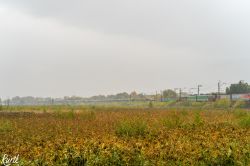 826 КБ